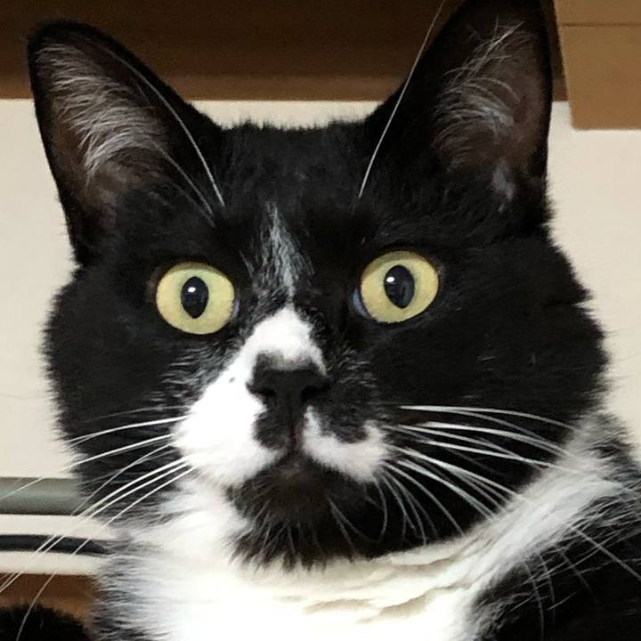 16f62a8b 765a 44e6 b010 c0c22b66a8c0 1659165073094