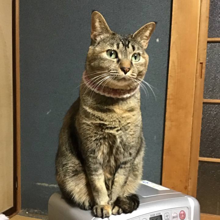 16f6a6fd 0da4 46b0 bb33 0b35ac0f7519 1676628768532