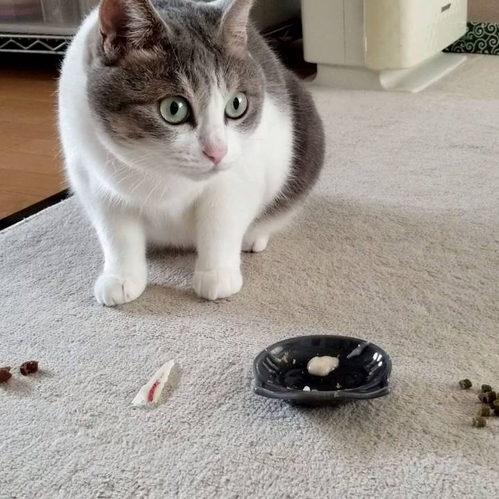 16f6fd8d da61 4e14 b855 665101424ab3 1563513667661