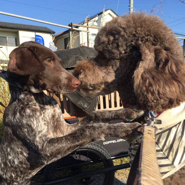 16f7138e f722 480e 83b9 4cc16fae8242 1511957388433