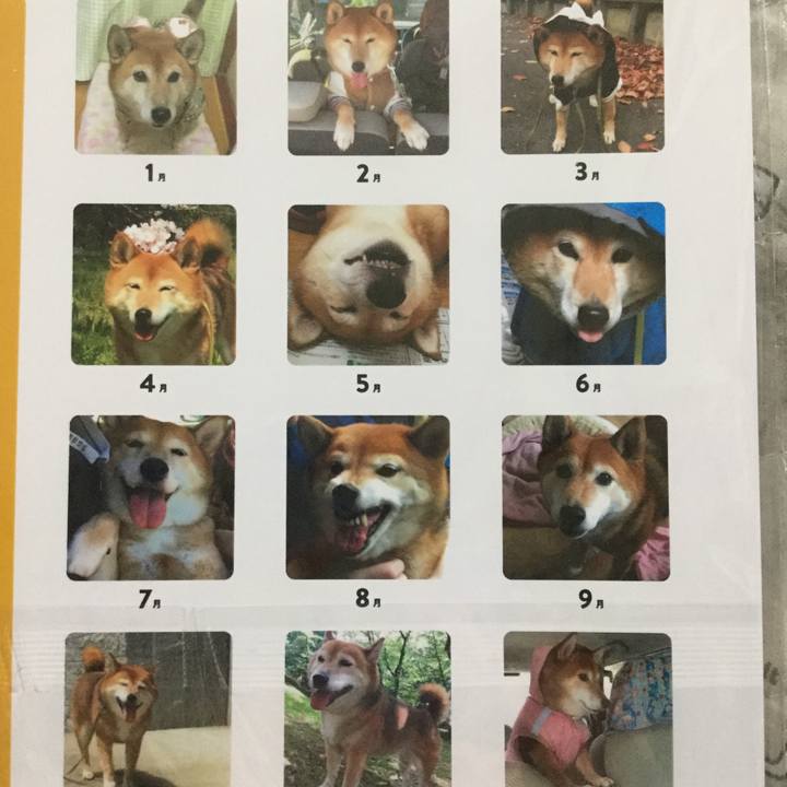 16f72d0f edd5 4516 9e70 96588e0927f5 1607754394912