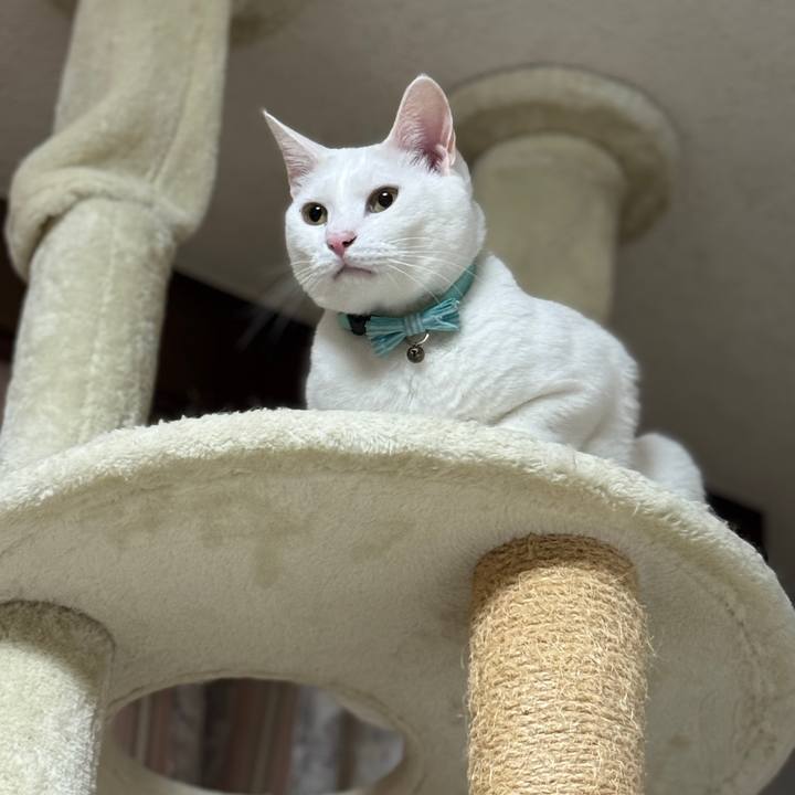 16f74e9b 1e8f 494e aa12 6d6af1a8e5c4 1763624244655