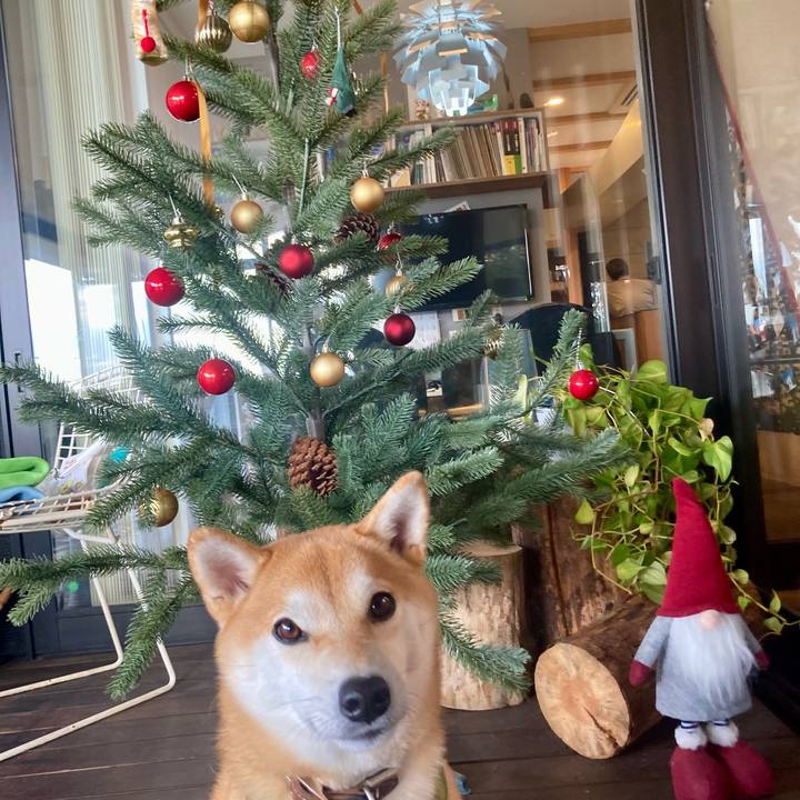 16f79876 0269 40da a213 0ac116a93bac 1734231596297