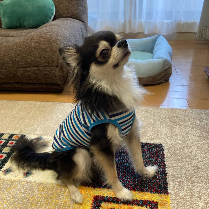 16f7df64 492d 4ff3 9c0a 8078f6e0db33 1690644005867