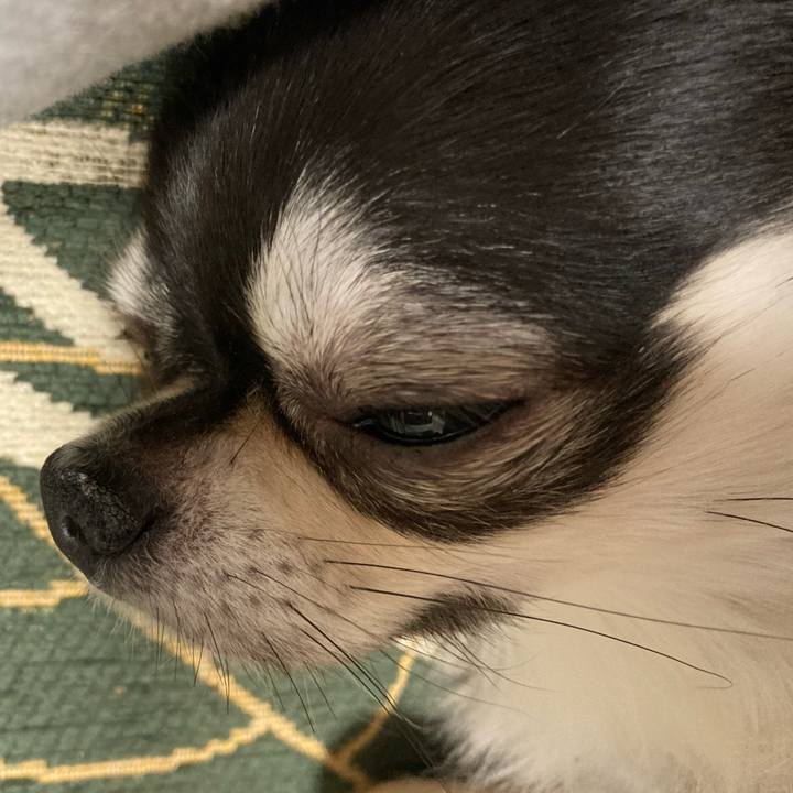 16f81320 1a72 45b0 be20 6599464acb51 1640442696893