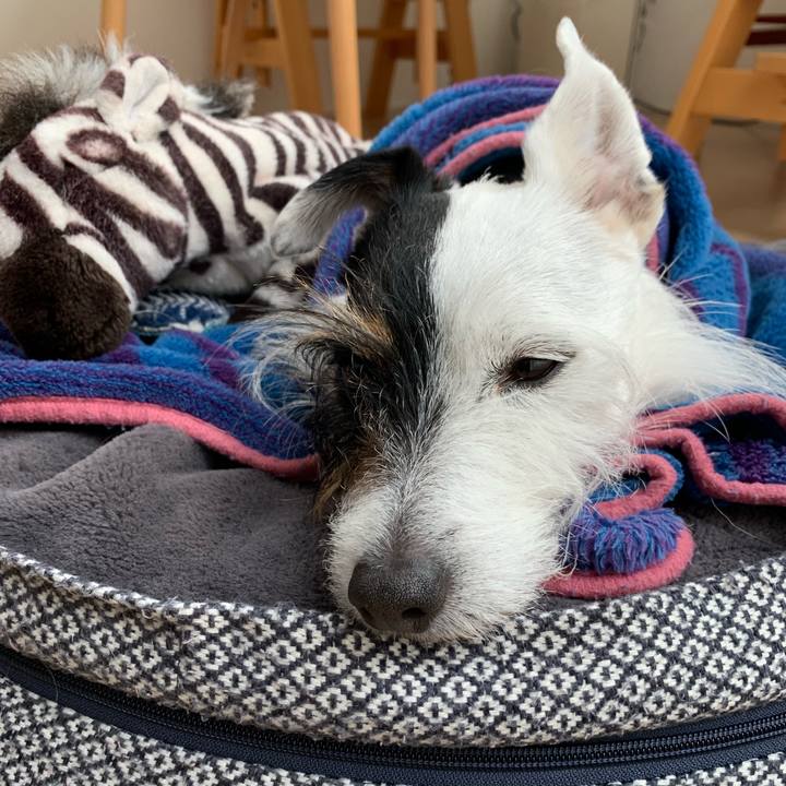 16f82a83 bde9 42c5 bd44 be12259ff3ab 1675823088172