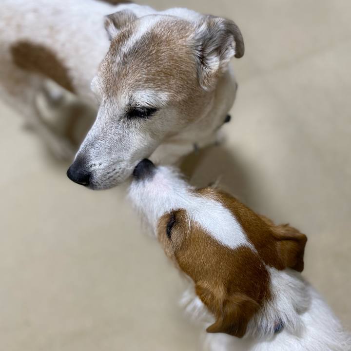 16f82edc 16d0 4459 87c9 fc98ad15b3d5 1677846430423