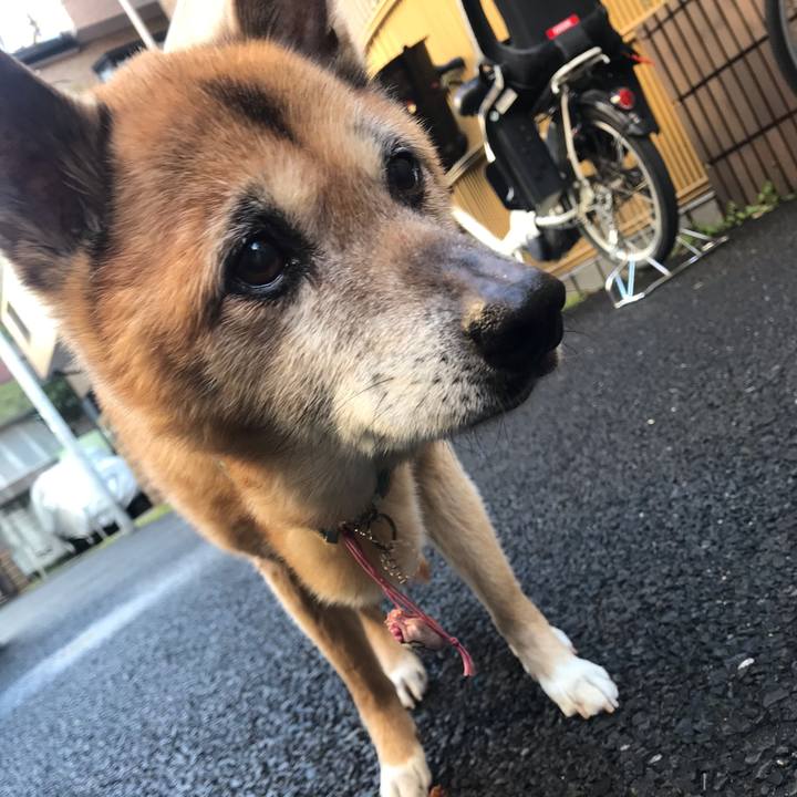 16f83fc7 5d11 4d52 9df4 39c369c10039 1554934355200