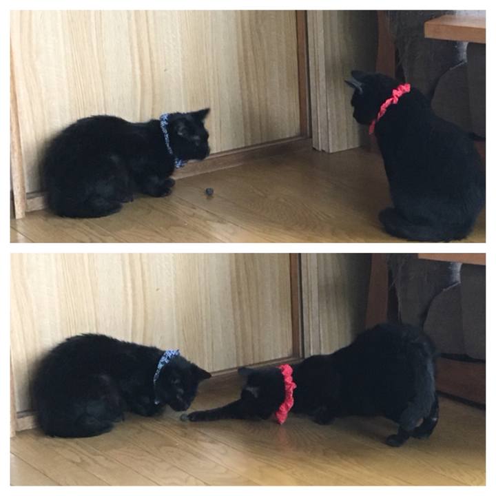 16f8491a a0e8 454f 9af6 cf4c2de4c039 1537077867932