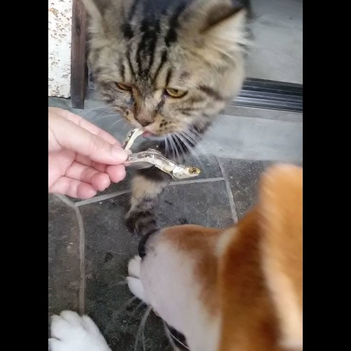 16f8697c 2e08 4291 85e0 22764ec109d2 1627943778415