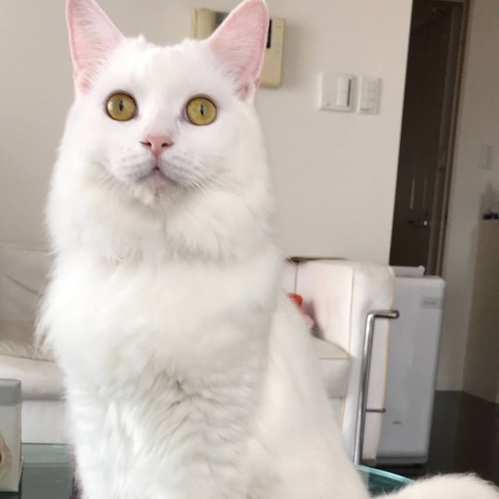 16f89772 cfdc 4431 9be0 04ea4fd6bb87 1535886085048