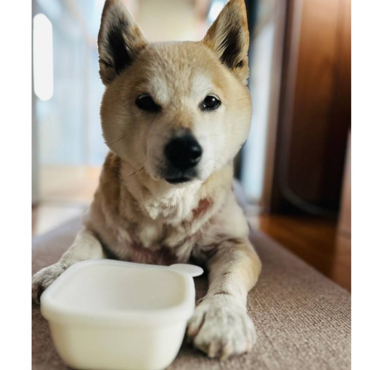 16f8bce5 d9a7 4934 a34c 04bef8e9f92a 1746269191101