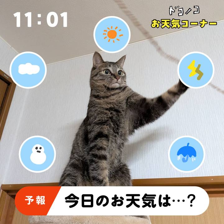 16f8d034 c0a1 4895 9add 4d80818a0afe 1781589028751
