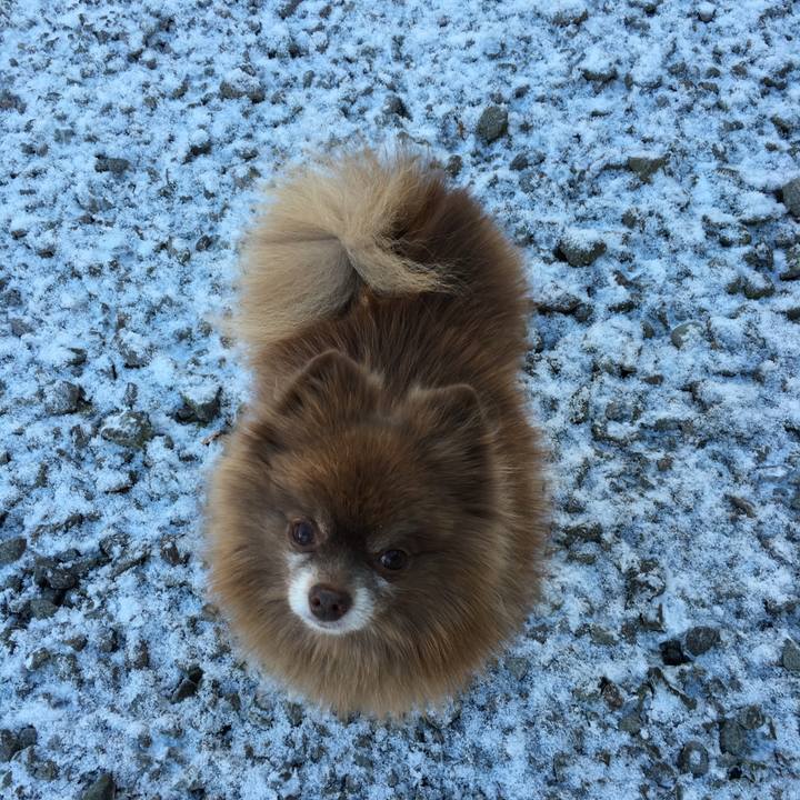 16f8e4c4 741c 43f0 bb25 5fa8c6f71b8c 1510881118027