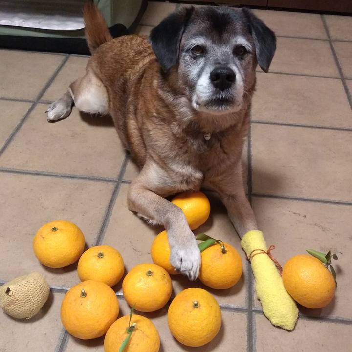 16f8fa93 9b58 4ac5 a166 23a2dd4d5ee7 1547512282639