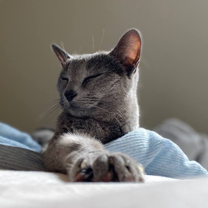 16f90385 cfc5 43e6 80f2 a32595bbcaaf 1601296450103