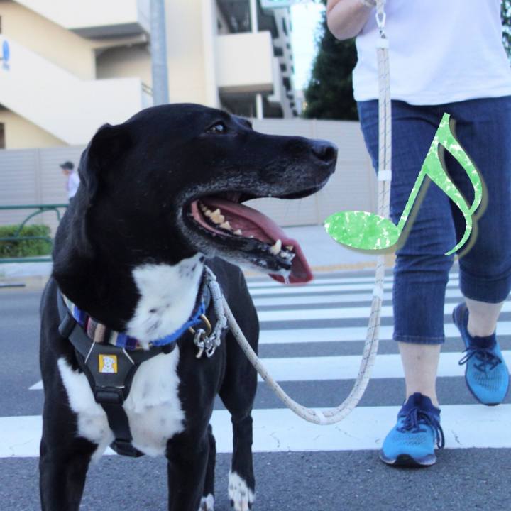 16f92143 6c8d 4000 bca1 439a747a324b 1658660734992