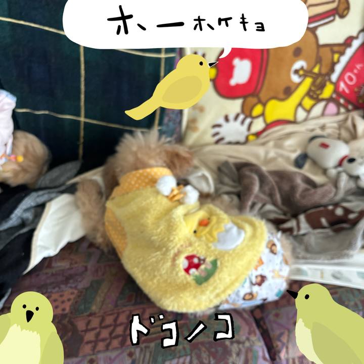 16f924e8 10f9 41fc af57 ee6fbfb40bba 1711579570160