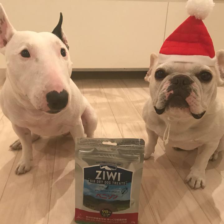 16f95bae 4b23 489e a2cf 3ef226e13ddc 1514202985698