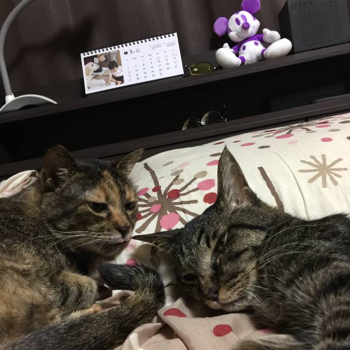 16f961c1 92f3 4eb9 9419 bc3235ed350a 1534403692297