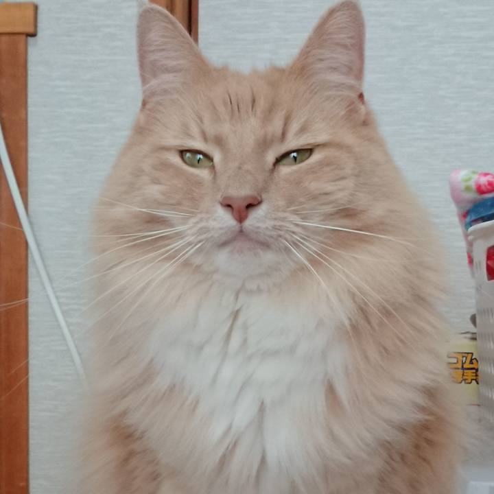 16f96e08 a42a 4782 95bb 5d6cd4322cdf 1529124579481