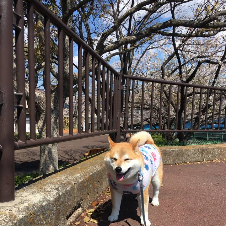 16f9aac9 4bef 40ae b3d6 88eb69f5f755 1772798700320