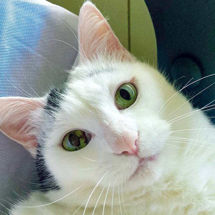 16f9d410 63a8 4547 8c84 cbcd17b0fbfd 1659941048967