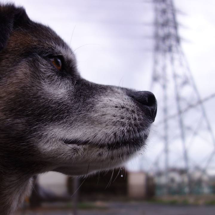 16fa14dc 6226 4b95 81ad 81b6f5580d28 1660693464692