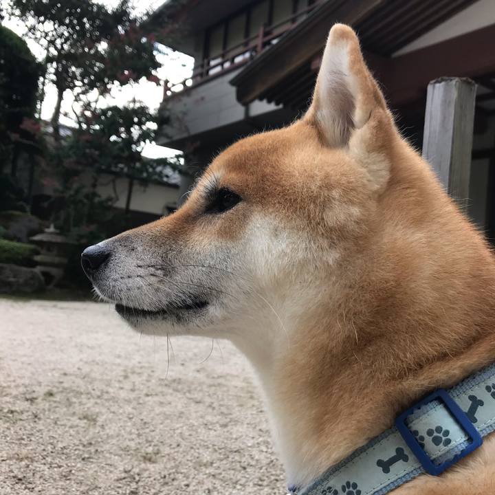 16fa28f8 1189 434d 822f 4561199c72a3 1601720168815