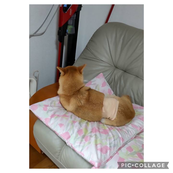 16fa3ef0 bcc2 46c5 97de c5e226db6470 1705714480629