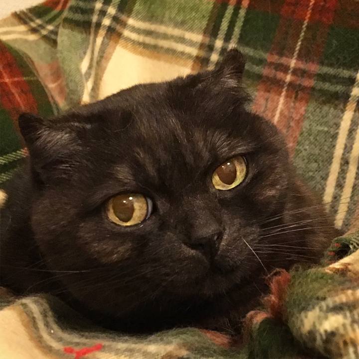 16fa5478 bae0 4925 9fe1 43813cc41c45 1522171355608