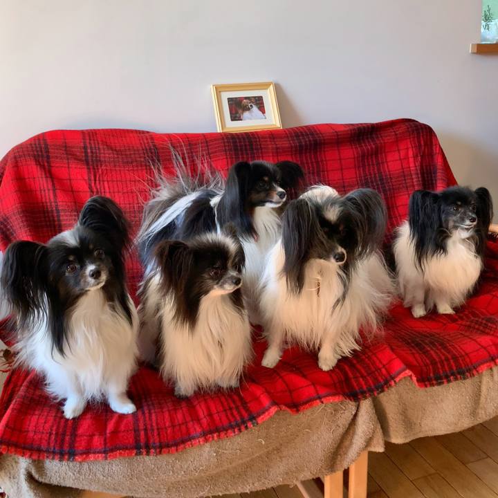 16fa54da 527a 43d1 9c93 ae06d20d66ed 1615713372707