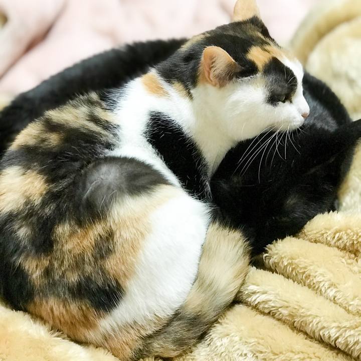 16fa6b4e 9dc9 4cc6 bceb 16eac0ef06fe 1516236349952