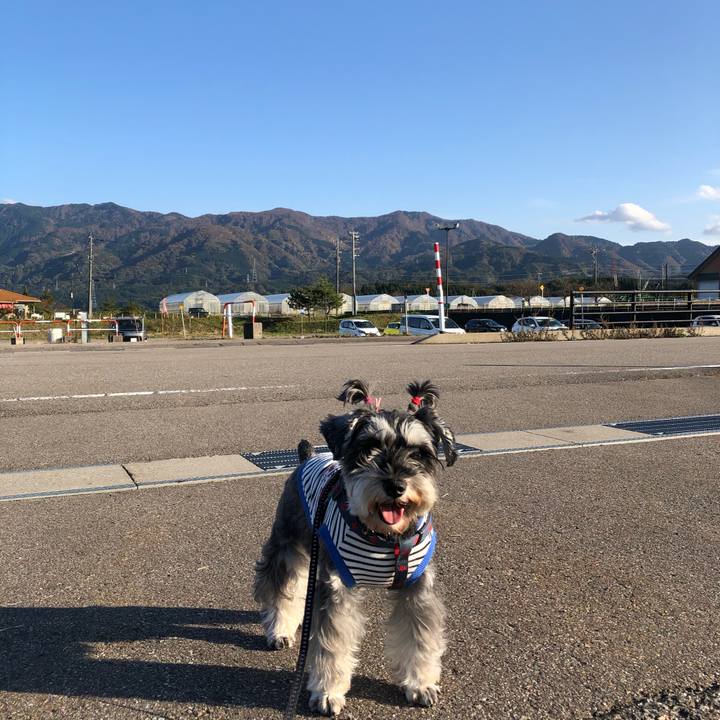 16fa6c1e 52c9 4437 b97e 89dfd507eeb8 1636194203038