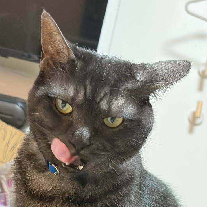 16fa6cb1 e0ff 457f a7b6 2df002da0df0 1772369116251