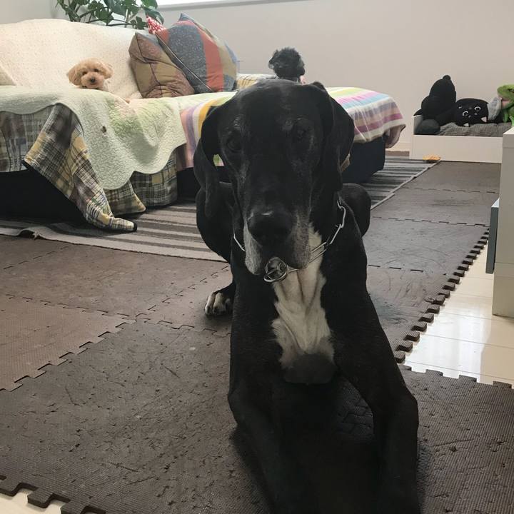 16fa7d9a cf17 4742 8b0a 151cb9442b9d 1527201934510