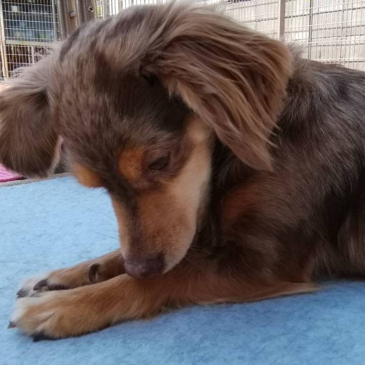 16fa85fb 9d36 4c32 b6b5 7b92b29e9e1e 1527901656048