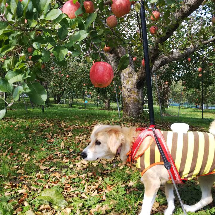 16fa9213 2139 468a 8cff 85c677cea1d9 1541216003089