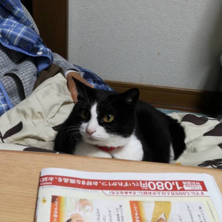 16faa141 42d3 4d99 ab2a b63aa0b0dff0 1667879139739