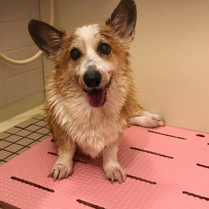 16fac0f3 ee37 4455 aefa fe95feef4fdd 1538360488345