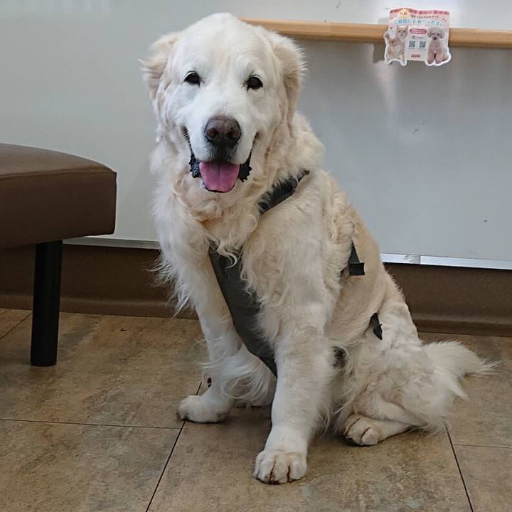 16fac371 8ff2 47b5 a9a6 e04bbd98d5b7 1587392018838