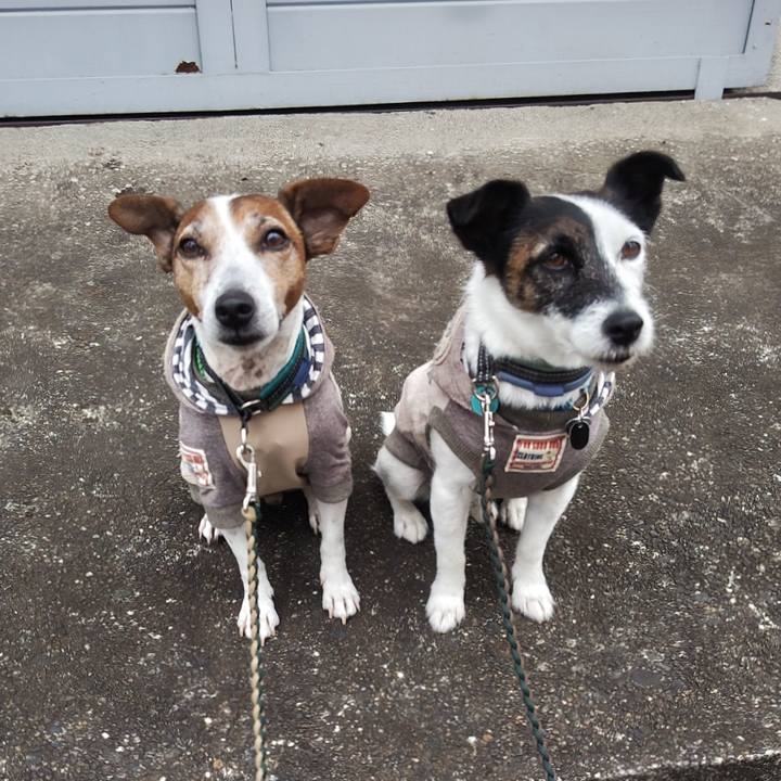 16fb05ff 0c31 4fe8 9683 7ad259cef63c 1760308818534