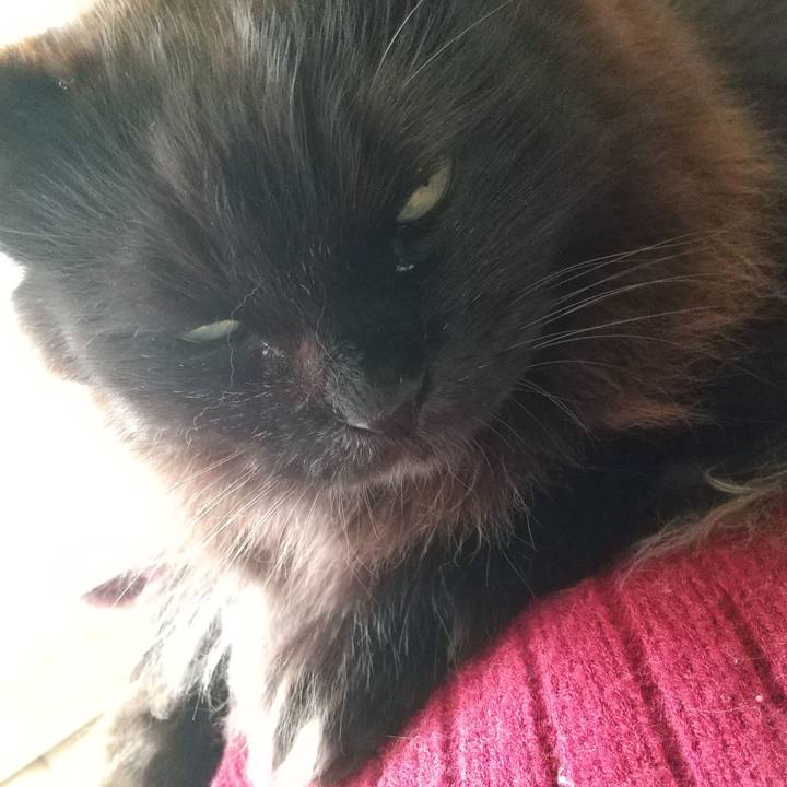 16fb2328 5796 4546 a151 def5d5b89fd4 1644297893222