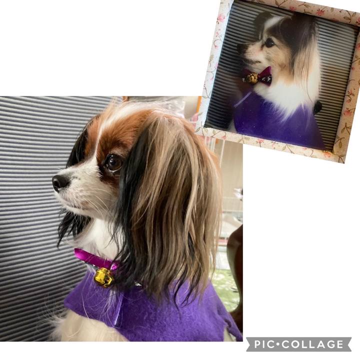 16fb2905 3256 4415 9802 3ae6739b9222 1637630212181