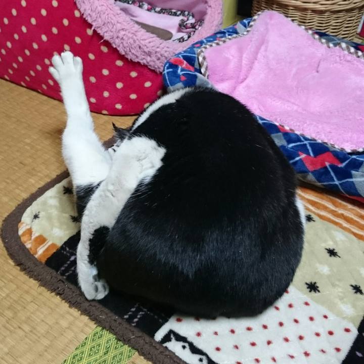 16fb4ff0 30eb 4d24 be09 84f34751cffa 1519041381700