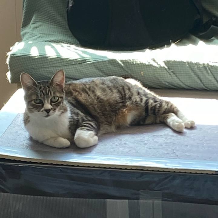 16fb8237 7fbb 41ca 8224 d5158ba7318b 1664745992734