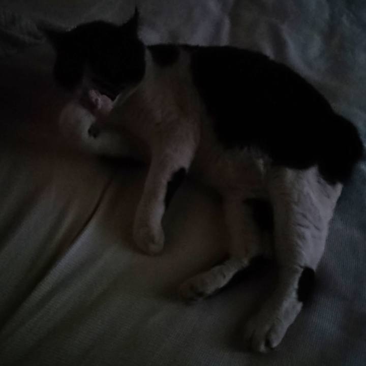 16fb938c eb2f 4ab2 92c4 0f2a377a9608 1632353407776