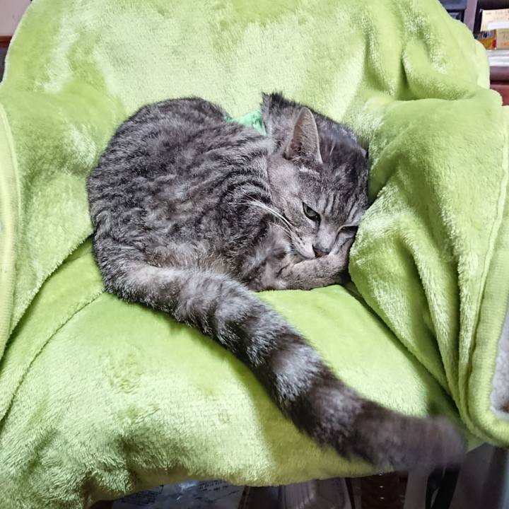 16fb9d81 3206 437c 869a 40350cd3b224 1587171431737