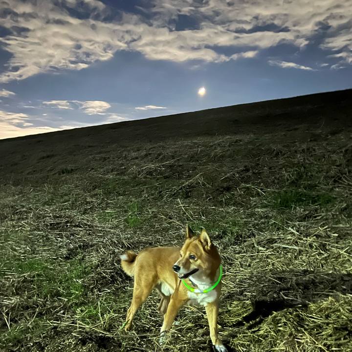 16fbd24a 115d 4259 b4a9 2e99573834d1 1730977711682