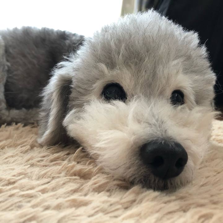 16fc195d 4823 425f 833d cda7ba824541 1559257083830